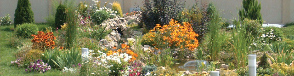 RoexpertGarden - Amenajare lacuri si cascade