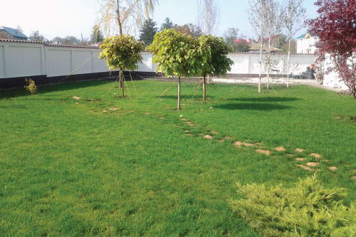 RoexpertGarden - Amenajare gazon