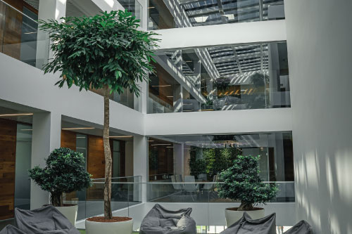 RoexpertGarden - Amenajare spatii de birouri