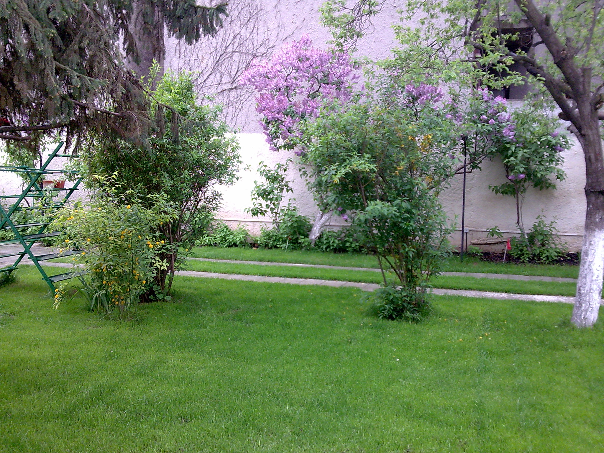 RoexpertGarden - Proiectare spatii verzi
